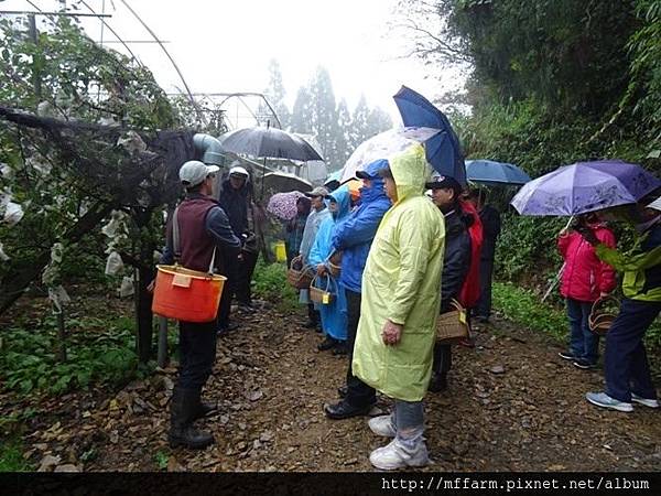 20161110(肖)吳曼羽 (15) 20161110(肖)吳曼羽 (15)