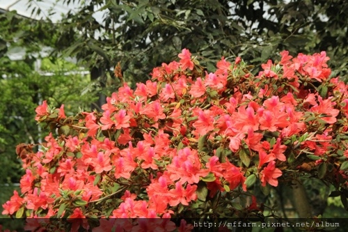 IMG_2482 IMG_2482