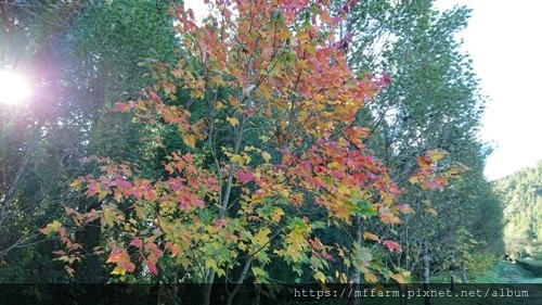 DSC_1240 DSC_1240