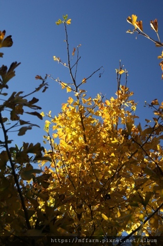 IMG_7134 IMG_7134