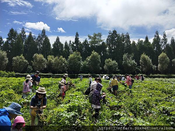 /tmp/phpbD641F /tmp/phpbD641F