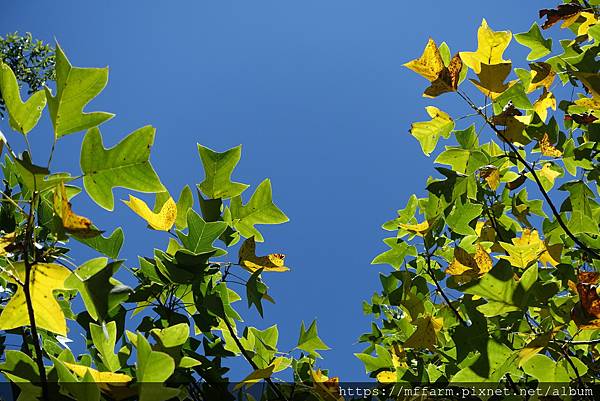 /tmp/phpjNYWyx /tmp/phpjNYWyx