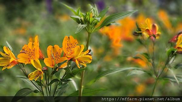 /tmp/phpc6u4hf /tmp/phpc6u4hf