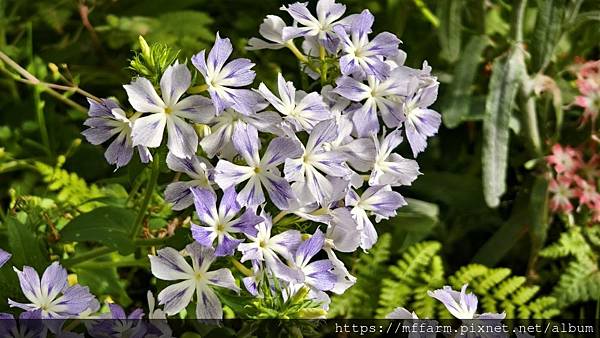 /tmp/phpmMY3XQ /tmp/phpmMY3XQ