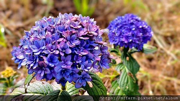 /tmp/phphZhL51 /tmp/phphZhL51