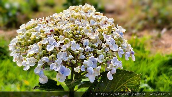 /tmp/phpJPsoKY /tmp/phpJPsoKY