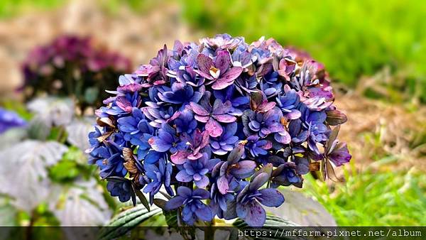 /tmp/phpSbChv5 /tmp/phpSbChv5