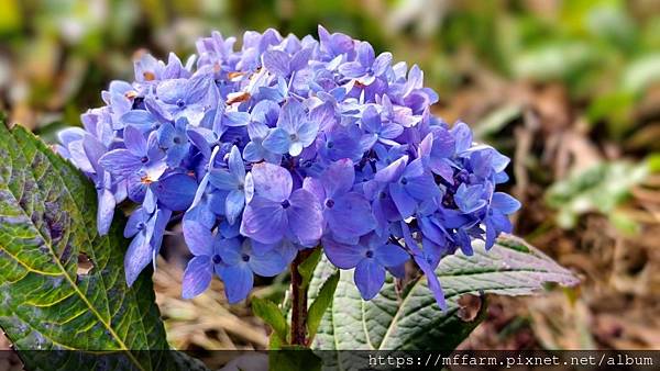 /tmp/php7uBTsV /tmp/php7uBTsV