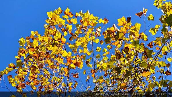 /tmp/phpWyTfIF /tmp/phpWyTfIF