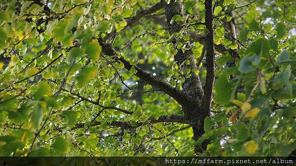 /tmp/phpwrbxwP /tmp/phpwrbxwP