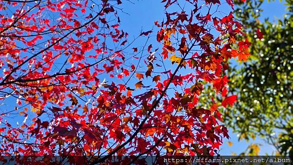 /tmp/phpPJitEr /tmp/phpPJitEr