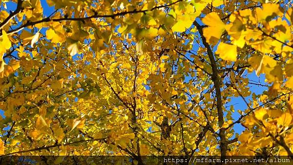 /tmp/phpNfUxvm /tmp/phpNfUxvm