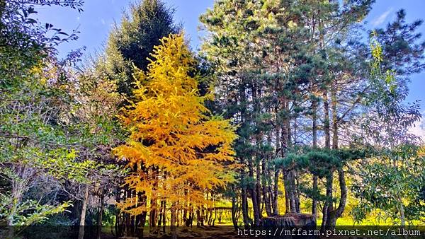 /tmp/php1839RT /tmp/php1839RT