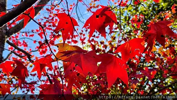 /tmp/phptsKSjy /tmp/phptsKSjy