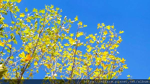 /tmp/phpI5c787 /tmp/phpI5c787