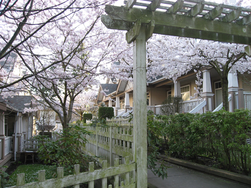 sakura_home1.jpg