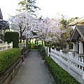 sakura_home3.jpg