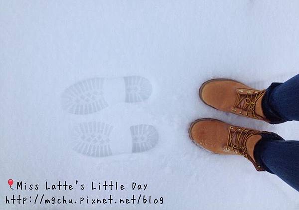 S__10100740.jpg S__10100740.jpg