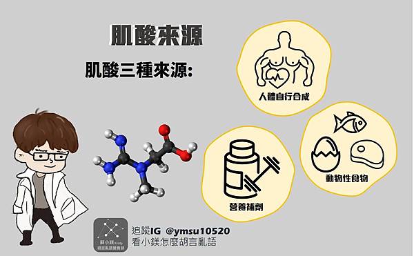 肌酸來源4.jpg