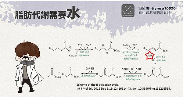 胡言亂語營養師_蘇小鎂 熱愛105度的你_喝水解身體的渴_脂肪代謝需要水.jpg