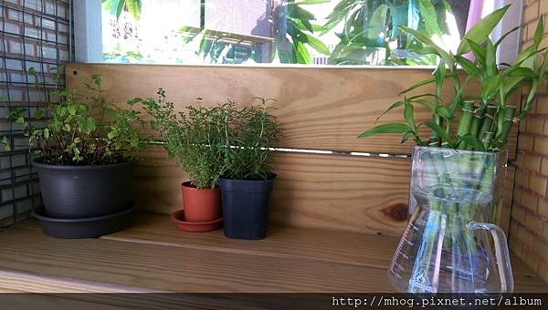 IMAG6031.jpg IMAG6031.jpg