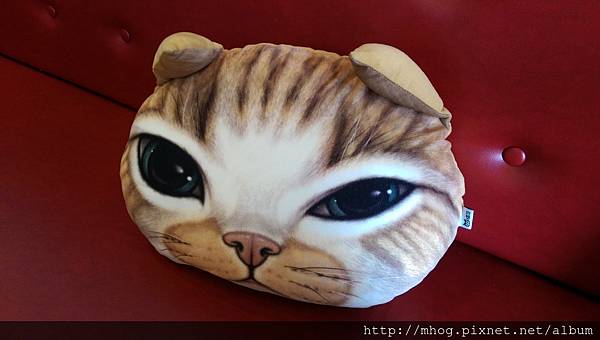 IMAG7166.jpg IMAG7166.jpg