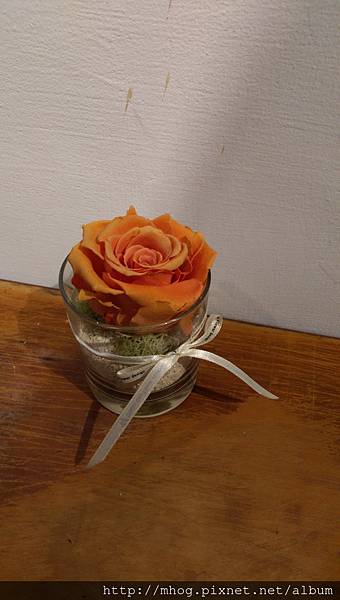 IMAG8687.jpg IMAG8687.jpg