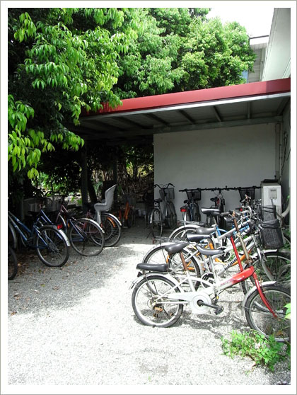 RIMG6904().jpg RIMG6904().jpg