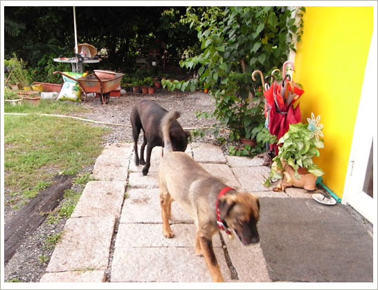 RIMG6835().jpg RIMG6835().jpg