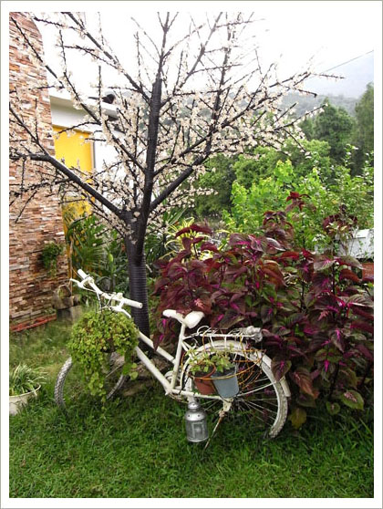 RIMG6837().jpg RIMG6837().jpg