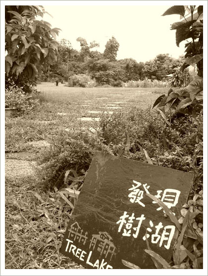 RIMG6842().jpg RIMG6842().jpg