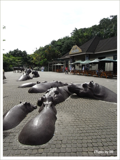 未命名-12.jpg 未命名-12.jpg