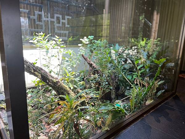 LINE_ALBUM_20230401-06馬來西亞蘭卡威_230510_485 - 複製.jpg