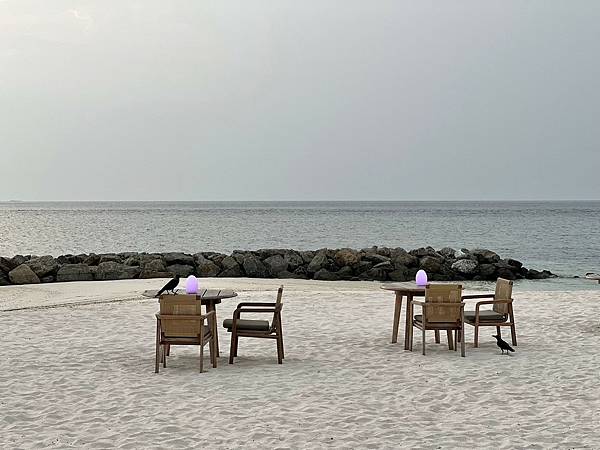 LINE_ALBUM_20240212-Maldives day2 seasalt晚餐沙灘排球_240221_352.jpg