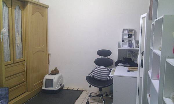 IMAG0125 IMAG0125