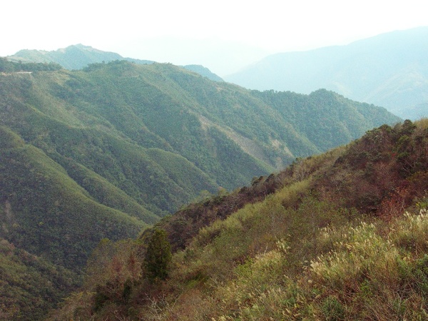 沿路上