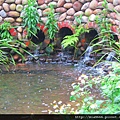 鶯歌陶瓷花海公園 039