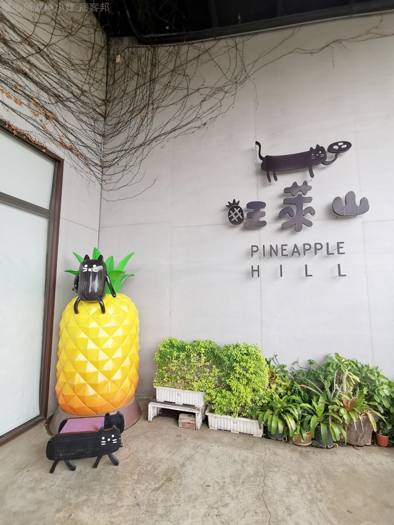 嘉義旺萊山01.jpg 嘉義旺萊山01.jpg