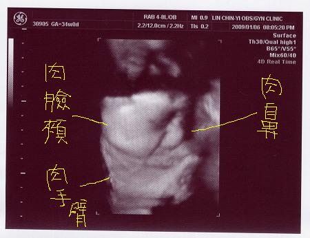 米力34D0D 米力大鼻子.jpg