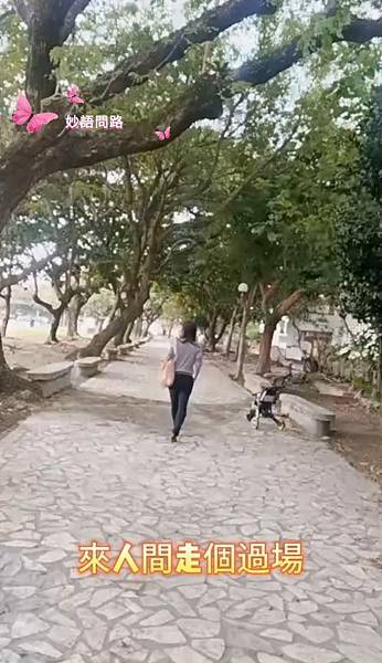 人間.jpg 人間.jpg