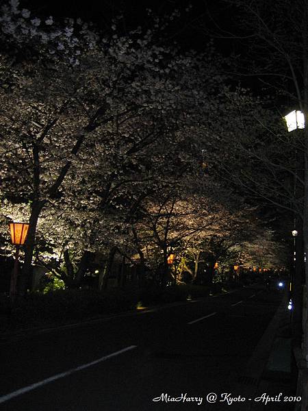 夜裡的木屋町通