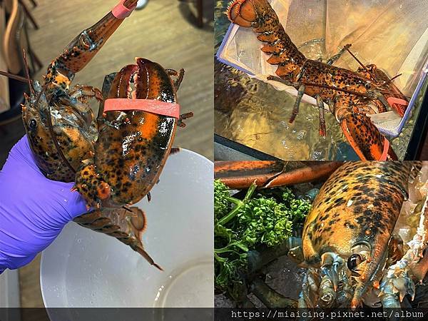 台北最強龍蝦火鍋 新鮮現撈活龍蝦 爆炒石頭火鍋 肉食主義十盎