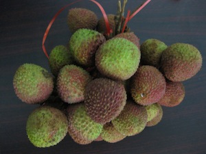 IMG_2772 IMG_2772
