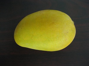 IMG_2773 IMG_2773