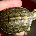 DSC00612.JPG