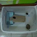 DSC00762.JPG