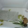 DSC00764.JPG