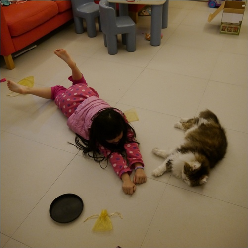 20150222006把客廳所有地板上的小Ｍｏ玩具收好之後，小靛貓直接睡在地板上.jpg