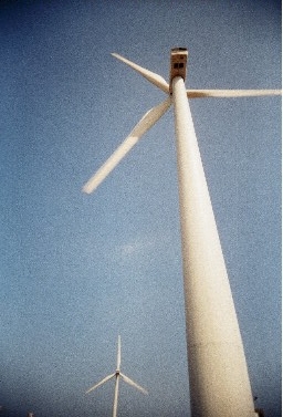 t002-003.jpg