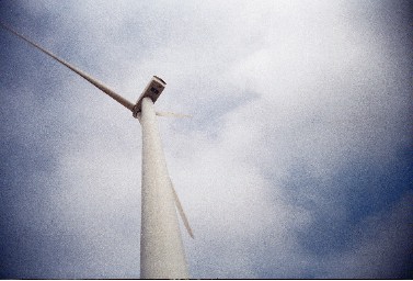 t002-019.jpg